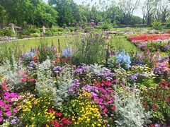 -世纪公园-世纪春沁园