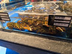 -上和臻品中国菜(花园街店)