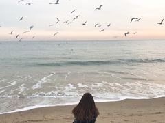 -海云台海滩