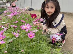 -火炉山森林公园