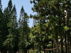 -人民公园(罗湖区)