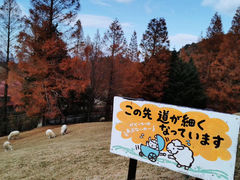 -神户市立六甲山牧场