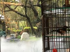 -同庆堂(解放北路店)