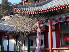 -宫事颐庭·老佛爷贵寿下午茶(颐和园店)