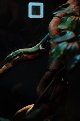 -Zoolung Zoolung动物主题公园(海信广场店)