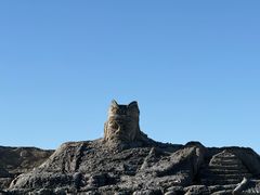 -盐湖景区