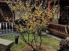 -不倒翁·徽天下名菜楼(马鞍山路店)