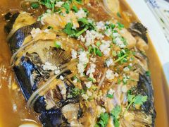 得莫利炖鱼-老码头黑皮肘子锅包肉(文政街店)