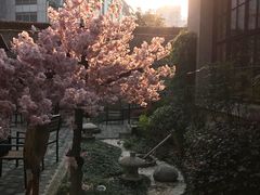 -徐家汇源景区-衡山坊