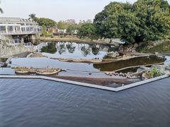 -厦门国家会计学院