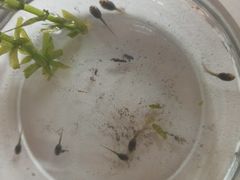 -天津东丽湖风景区