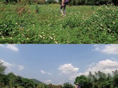 -风云岭森林公园