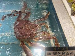 -御同亨酒楼·喜宴