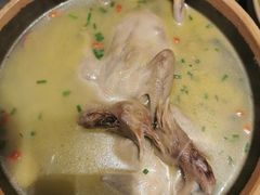 -龙小海荆沙鸽子店(瑞安街店)