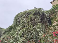 -府河摄影公园