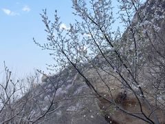 -北京凤凰岭