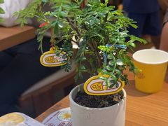 -CURRY YA 熟成咖哩專門店(深圳湾万象城店)