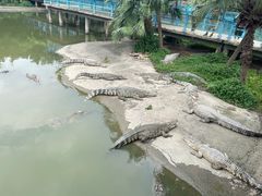 -广州长隆飞鸟乐园