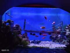 -太平洋海底世界