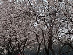 -吉林大学(南岭校区)