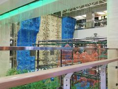 -野人先生现做冰淇淋(西安赛格店)
