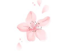 -玲珑干锅(江大店)