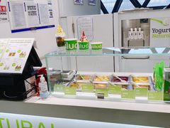 -Salud撒露欧洲冻酸奶(北苑上品店)