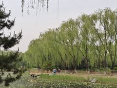 -东升八家郊野公园