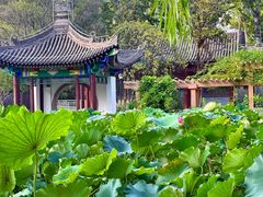 -莲湖公园