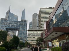 -上海市东方医院(总院)