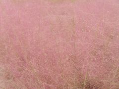 -张之洞与武汉博物馆