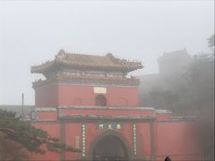 -万达广场(泰安泰山店)