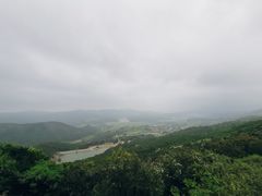 -大姆山草场