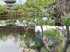 -无锡蠡湖国家湿地公园-蠡园