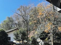 -龙井壹号·茶缘山景宴(龙井村店)
