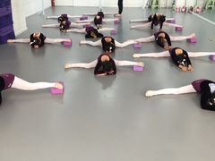 -西安小天鹅艺术团(金花路校区)