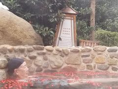 -观唐（国际）度假村温泉
