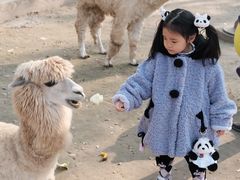 -保定市动物园
