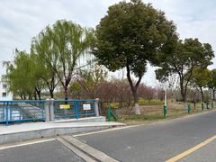 -漕湖湿地公园