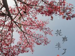 -松山湖风景区松湖烟雨