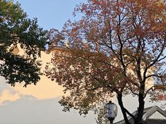 -万达影城(银兴菲林店)