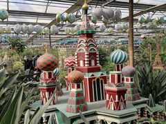 -南宫五洲植物乐园