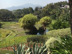 -四季酒店下午茶