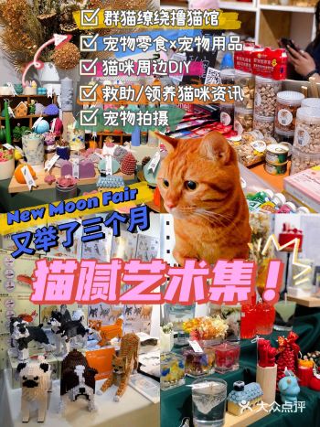 爬楼夜市｜铲屎官速来️撸猫圣地猫腻艺术展