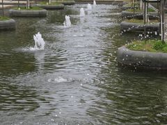 -白塘生态植物园
