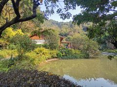 -云溪植物园