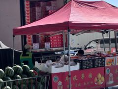 -北京新发地农产品批发市场-特菜交易厅