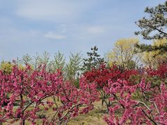 -西海子公园