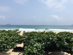 天域度假酒店-三亚亚龙湾天域度假酒店