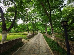 -苍山世界地质公园·石门关大峡谷